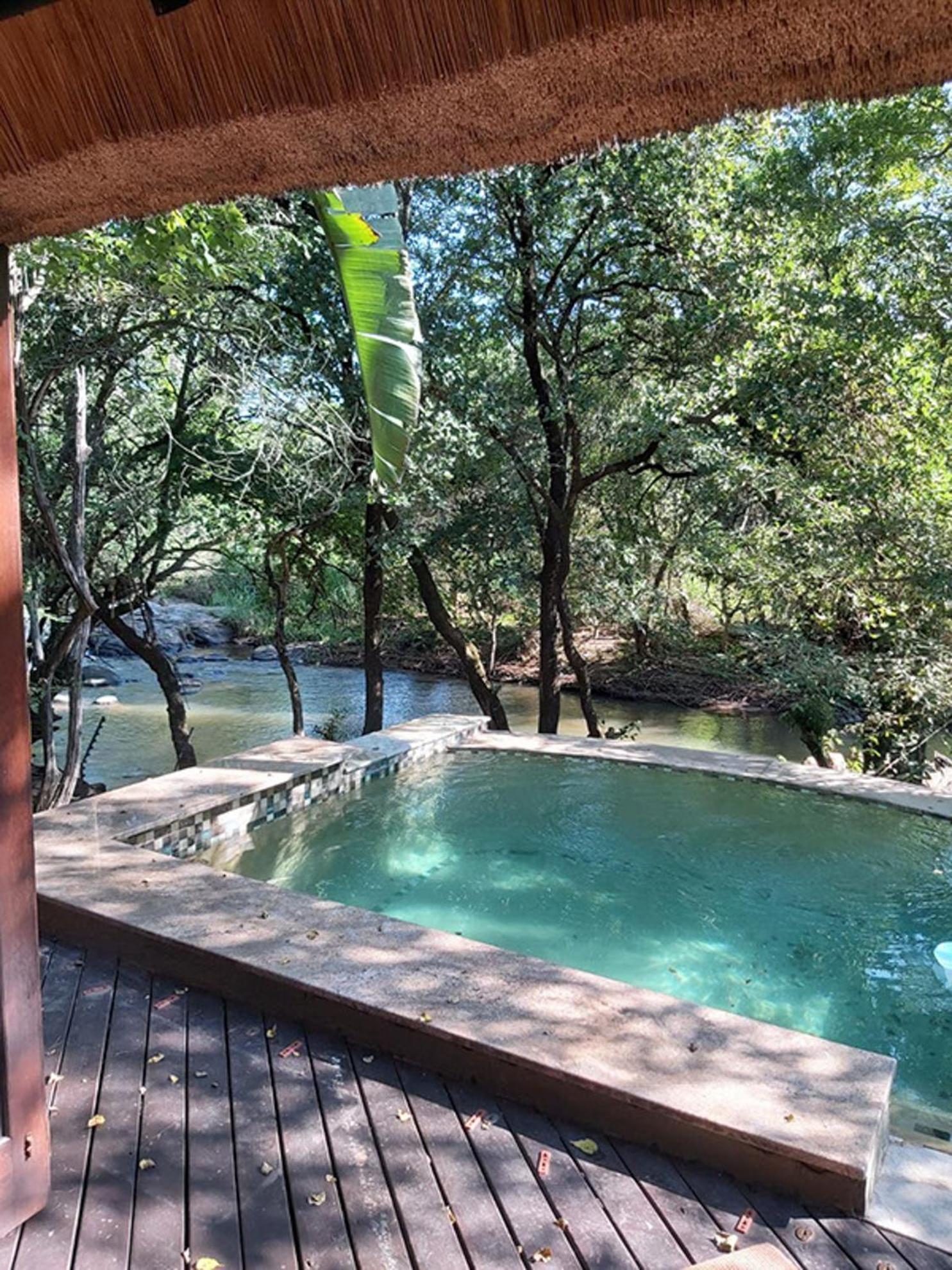 Dreamy 3 Bedroom Villa On The Edge Of The Sabie River In Kruger Park Lodge هازيفيو المظهر الخارجي الصورة